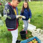 Projekt: Jabloně na naší školní zahradě